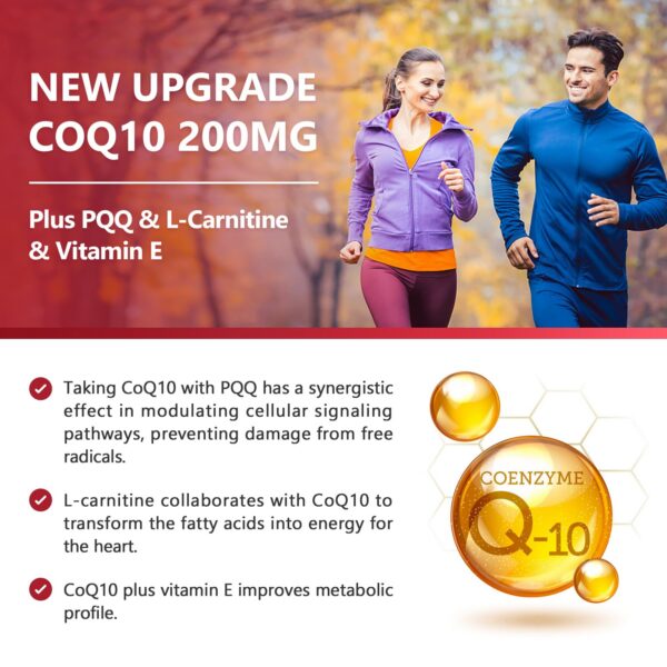 Detalle de la fórmula con PQQ L-Carnitina Omega-3