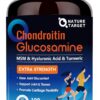 Version 1.0.0 Frasco Nature Target Glucosamina Chondroitina MSM