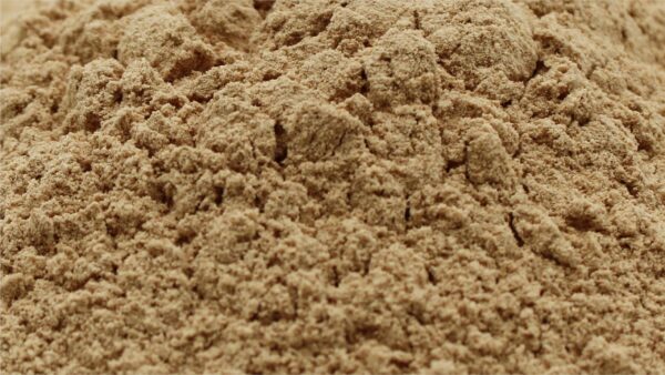 Naturejam polvo de hongo melena de león en cocina