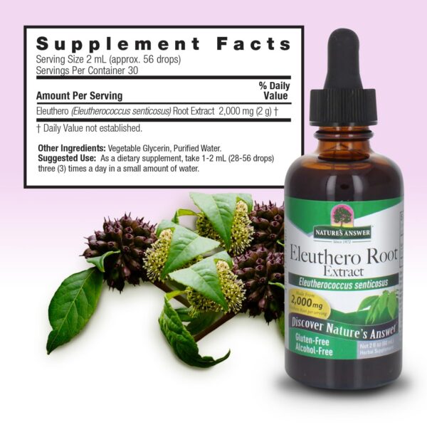 Version 1.0.0 Nature's Answer extracto raíz eleuterococo botella y caja