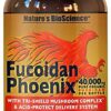 Nature's Bioscience Fucoidan Phoenix suplemento frente envase