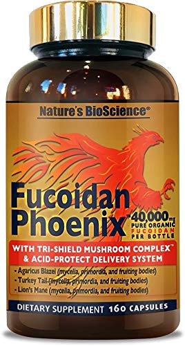 Nature's Bioscience Fucoidan Phoenix suplemento frente envase