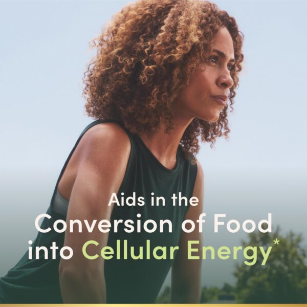 Tabletas de disolución rápida 500 mcg