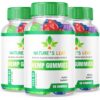 Version 1.0.0 Caja Nature's Leaf Gummies con fórmula oficial