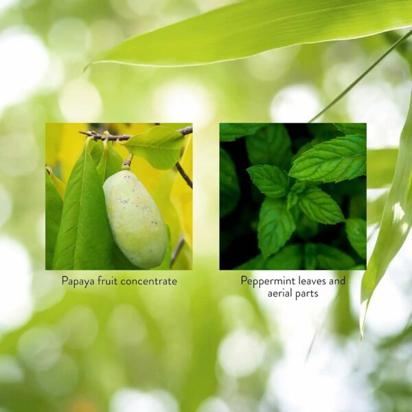 Vista lateral del envase Nature's Sunshine