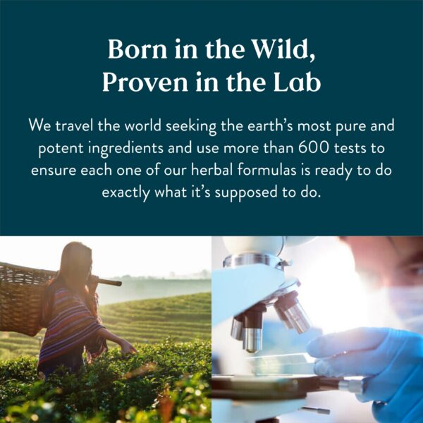 Version 1.0.0 Frasco Energ-V de Nature's Sunshine