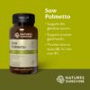 Cápsulas kosher Saw Palmetto para equilibrio hormonal adultos