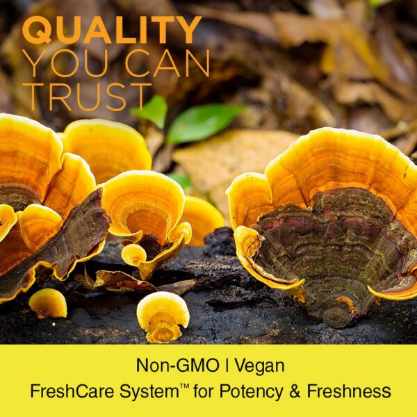 Suplemento de hongos medicinales Reishi Nature's Life en cápsulas