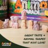 Caja MagKidz Animal Parade empaque