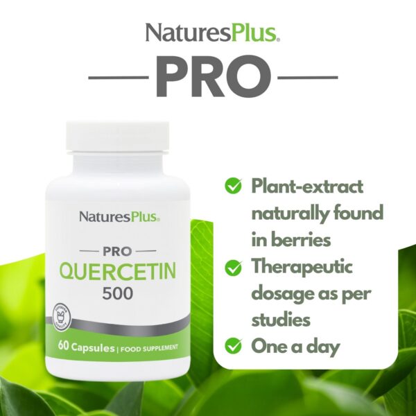 Detalle de cápsulas Quercetina 500 mg