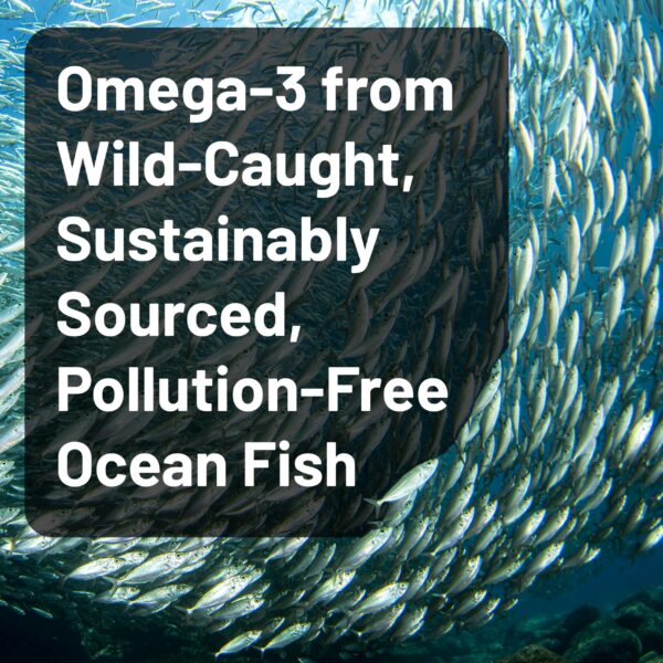 Etiqueta NatureWise Omega 3