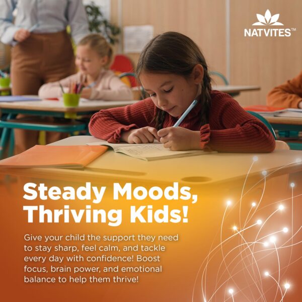 Presentación de 60 piezas Natvites B6