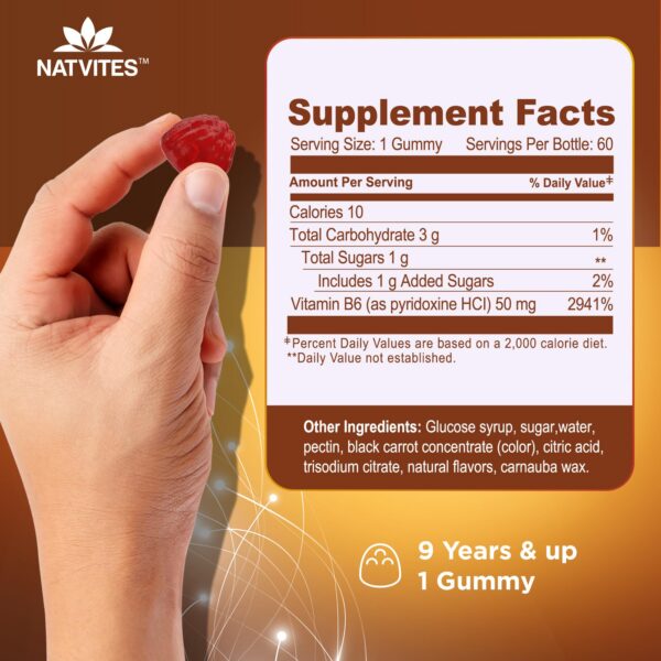 Etiqueta Natvites Vitamina B6