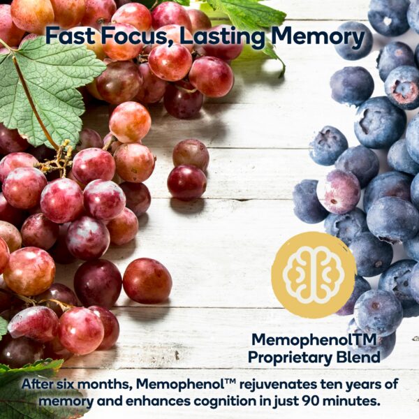 Version 1.0.0 Etiqueta frontal Nedley Focus