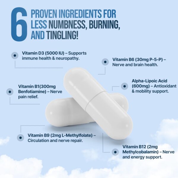 Version 1.0.0 Etiqueta trasera de NERVEREVERSE