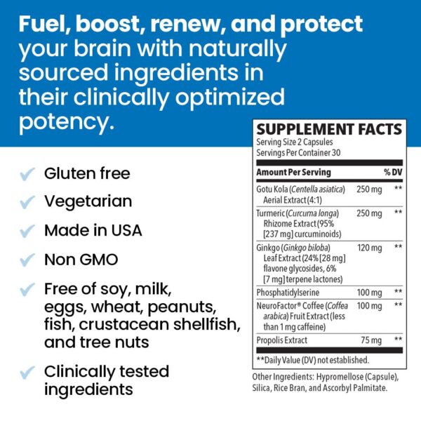 NeuroQ suplemento flujo sanguíneo cerebral salud celular