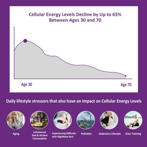 Gomitas sabor arándano NEVISS