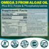 Version 1.0.0 Vista lateral del envase NEVISS omega-3 algas gummies