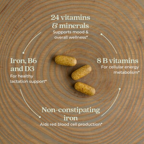 Version 1.0.0 New Chapter multivitaminico lactancia ingredientes orgánicos