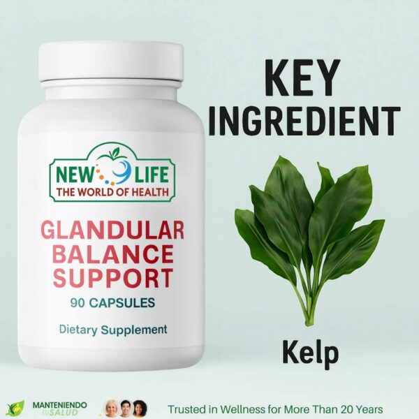 Envase y caja promocional