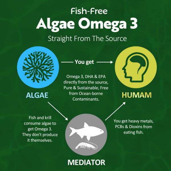 Gomitas omega-3 y butirato sin azúcar