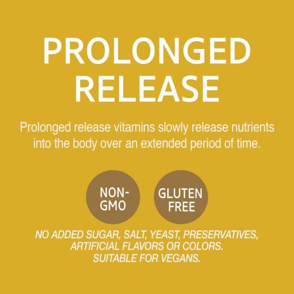 Version 1.0.0 Niacina 21st Century caja detalle