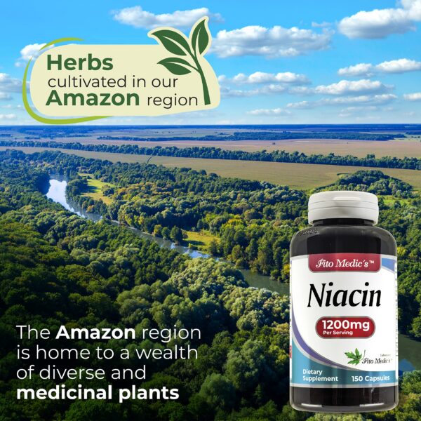 Niacina FITO MEDIC'S frasco y cápsulas