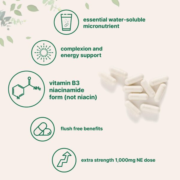 Cápsulas de Niacinamide 500 mg