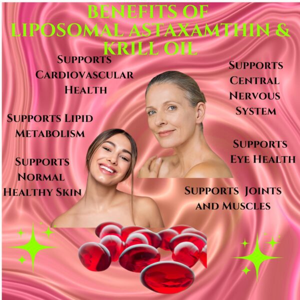 Envase Nikoni astaxantina liposomal 60 cápsulas