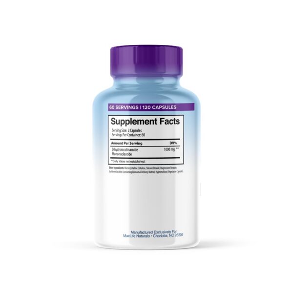 Version 1.0.0 Frente de la caja con información NMNH