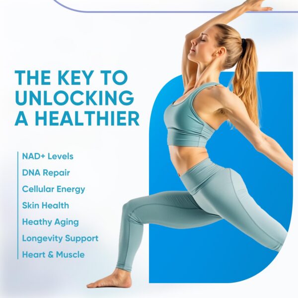 Version 1.0.0 Cápsulas NMNH alineadas