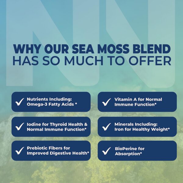 Nobi Nutrition suplemento con complejo de 1300mg musgo marino