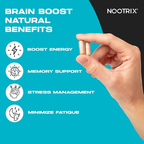Version 1.0.0 Frasco de Nootrix Brain Boost y cápsulas visibles