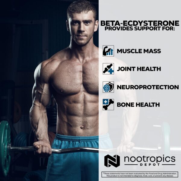 Extracto Cyanotis Arachnoidea en producto