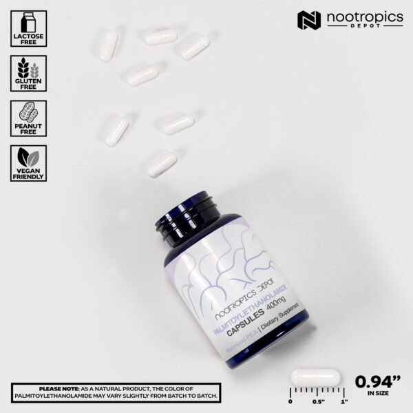 Version 1.0.0 Frente del envase con información