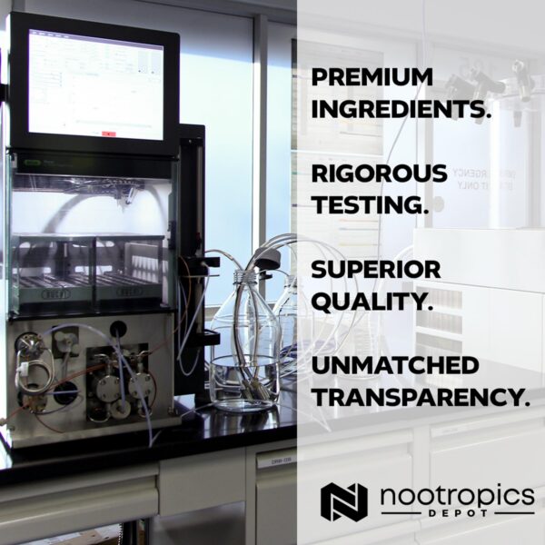 Cápsulas ergonómicas melena de león 500mg Nootropics Depot