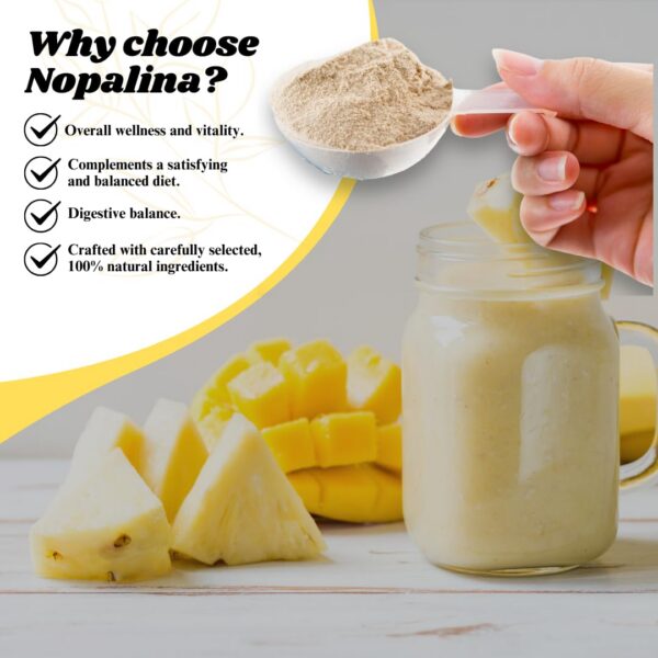 Cierre del bote Nopalina detox colon fibra sabor piña 1lb