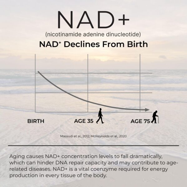 Version 1.0.0 Close-up de capsulas veganas NRXPRO