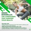 Suplemento natural Boswellia con hierbas NuraFuse