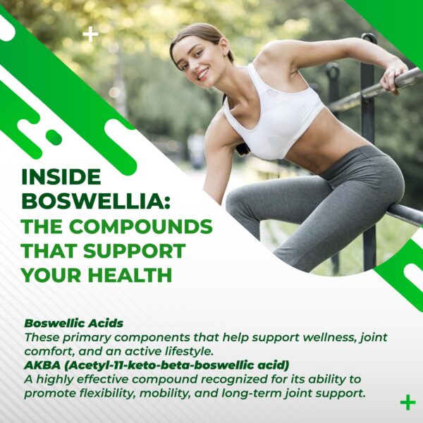 Suplemento natural Boswellia con hierbas NuraFuse