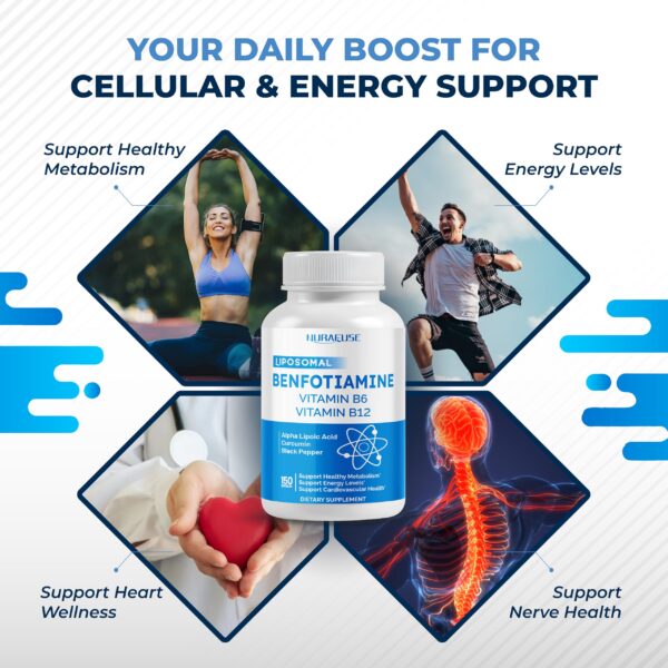 Ingredientes y panel