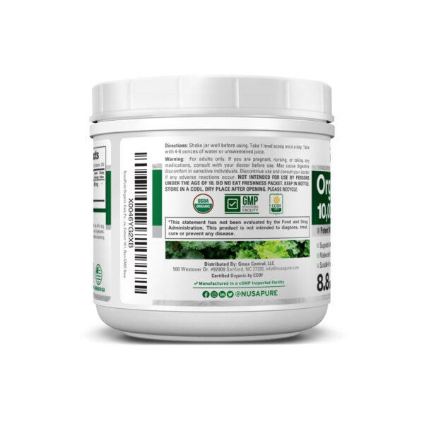 Polvo de kale en recipiente