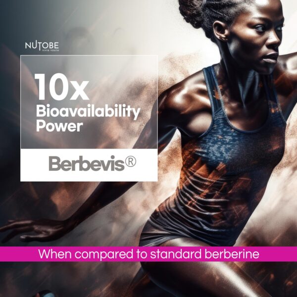 Version 1.0.0 Lista de ingredientes de la fórmula Berberine CoQ10