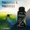 Nutragize P2Biotics etiqueta