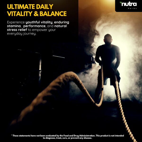 Version 1.0.0 Envase NutraHerbs MEAN suplemento para fuerza y vitalidad masculina