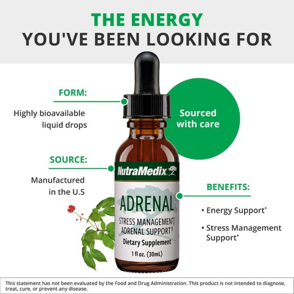 Version 1.0.0 Etiqueta lateral con ingredientes