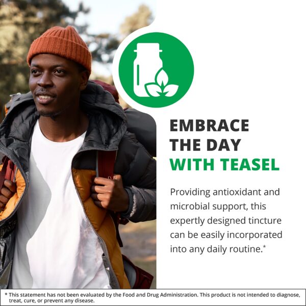 Version 1.0.0 Etiqueta y información de antioxidantes