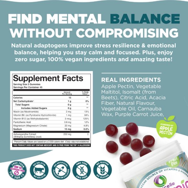 Gomitas de fresa natural