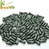 NutreeVit suplemento superalimento verde chlorella cápsulas