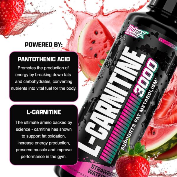 Version 1.0.0 Detalle de etiqueta Nutrex L-Carnitine